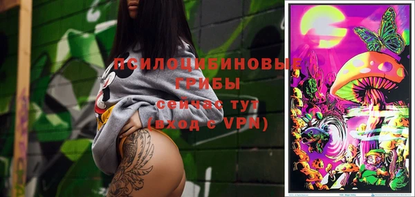 молекула духа Балахна
