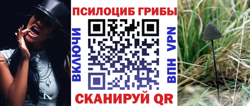 KRAKEN сайт  Верхний Уфалей  Галлюциногенные грибы Psilocybe  купить наркотик 